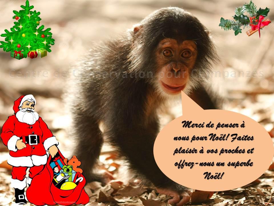 noelApproche