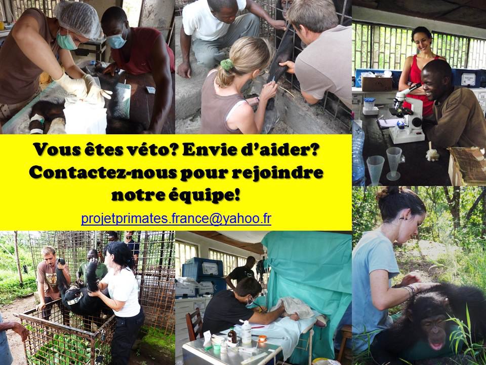 RechVeto2013