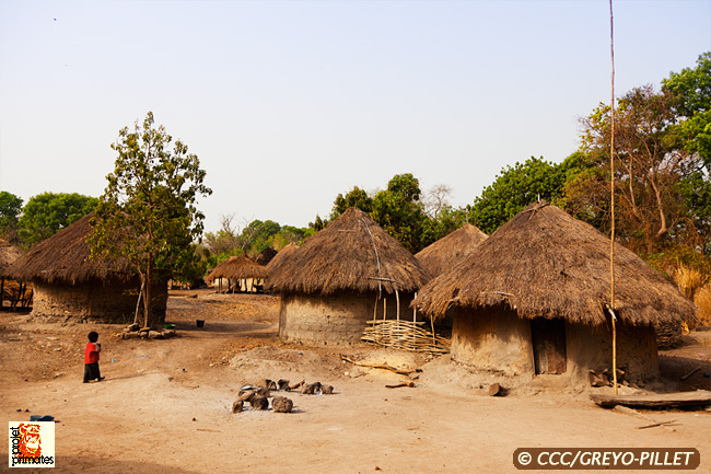 Village de Sambouya