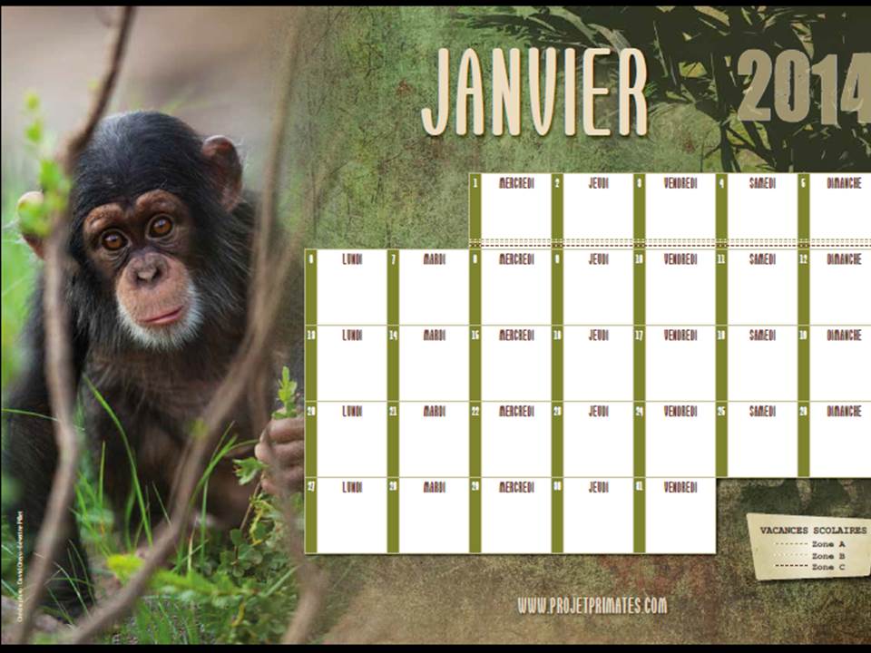 Janvier avec Léonie