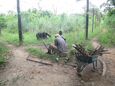 Cyril et Kourouma travaillent sur l'enclos Photo CCC