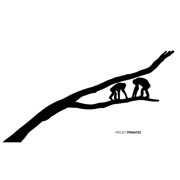 Logo gourdes
