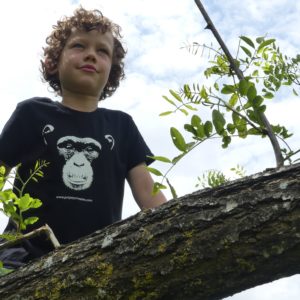 T-shirt enfant