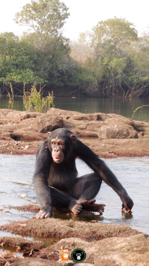 Léonie au fleuve Niger