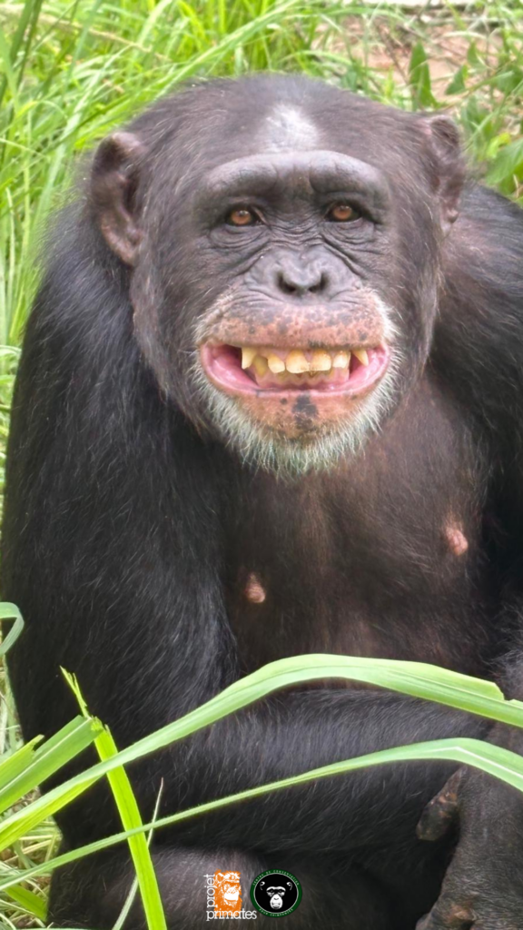 Léonie grimace