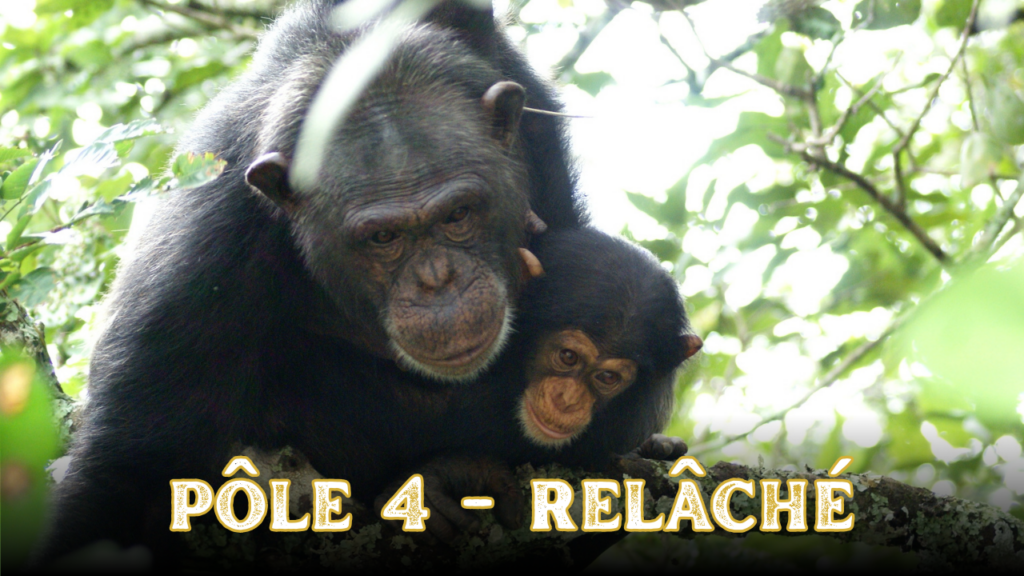 Pôle 4 - Relâché