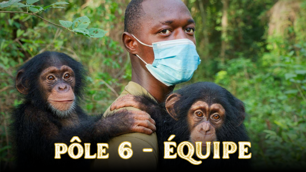 Pôle 6 - Équipe