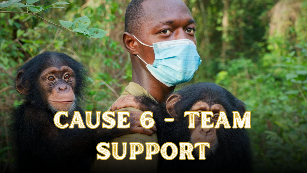 Cause 6 - Team