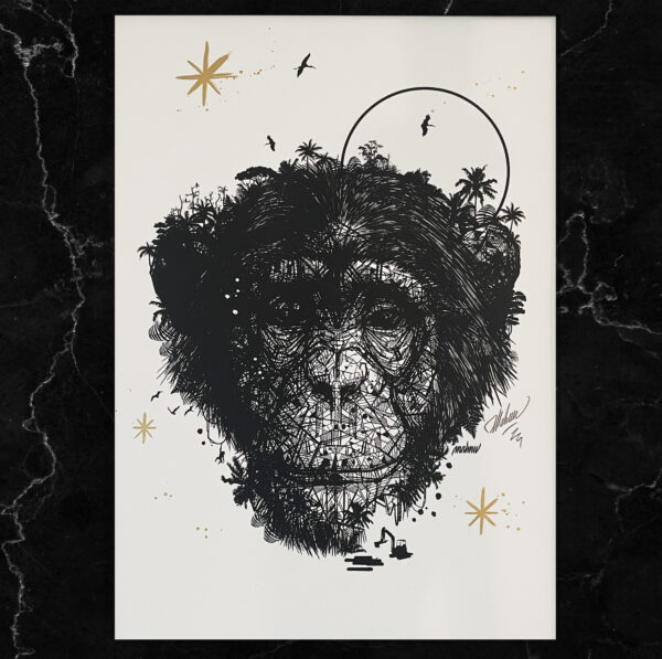 Tableaux chimpanzé