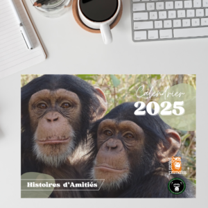 Couverture du calendrier 2025