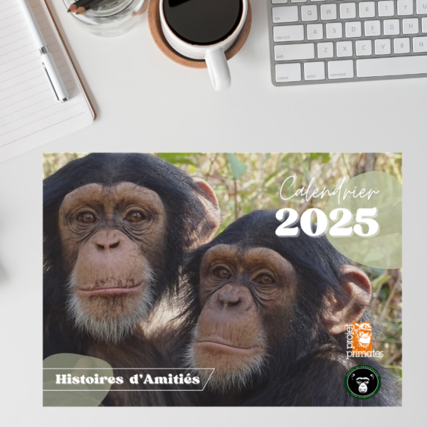 Couverture du calendrier 2025