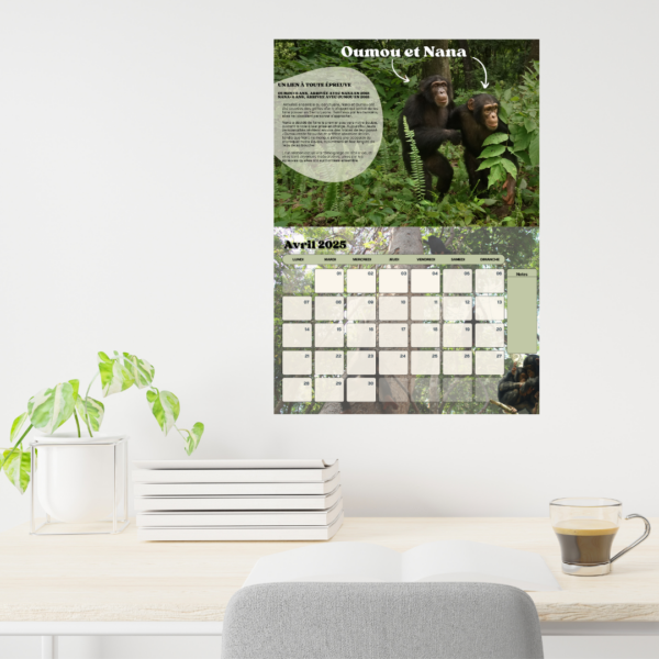 Intérieur du calendrier 2025