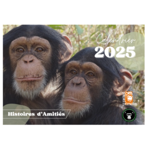 Calendrier 2025
