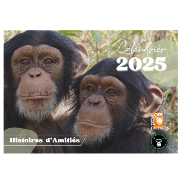 Calendrier 2025
