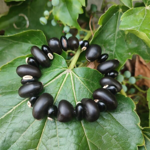 Bracelet en graines de haricots sauvages – Image 5