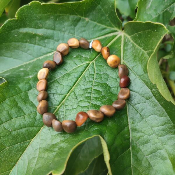 Bracelet en graines de haricots sauvages – Image 3